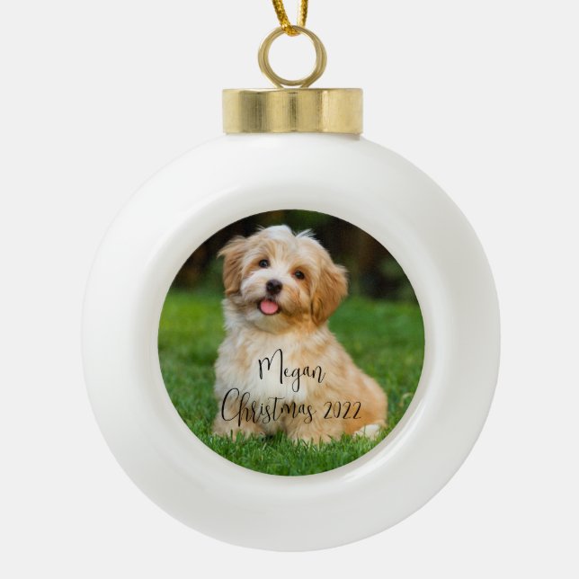 Custom Photo Dog Ceramic Ornament (Front)