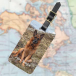 Custom photo dog pet luggage tag<br><div class="desc">Add one of your own favourite photos.  Personalize and add your name and contact information. 
Back: black background,  white text.</div>