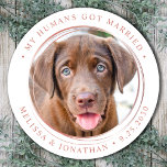 Custom Photo Elegant Rose Gold Wedding Classic Round Sticker<br><div class="desc">Add the finishing touch to your dog wedding announcements with these custom photo, and personalized 'My Humans Got Married stickers. Customize with your favourite photo,  names and date. COPYRIGHT © 2020 Judy Burrows,  Black Dog Art - All Rights Reserved. Custom Photo Elegant Rose Gold Wedding Classic Round Sticker</div>