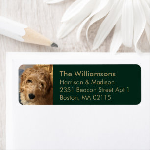 Custom photo gold dark green Return Address