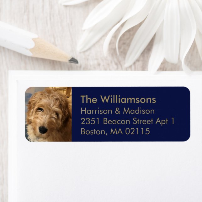 Custom photo gold navy blue Return Address (Insitu)