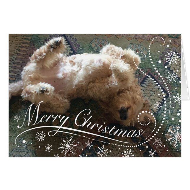 Custom Photo Golden Doodle Merry Christmas (Front Horizontal)