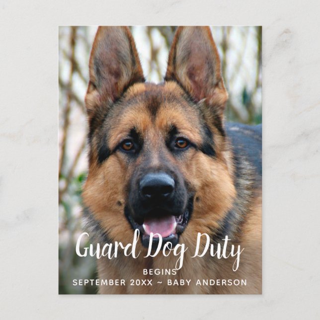 Custom Photo Guard Dog Duty Pregnancy Announcement (Front)