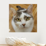 Custom Photo Image Faux Canvas Print<br><div class="desc">Upload your photo and create your perfect personalized faux canvas print. You can TRANSFER this DESIGN on other Zazzle products and adjust it to fit most of the Zazzle items. You can also click the CUSTOMIZE button to add, delete or change details like background color, text, font or some graphics....</div>
