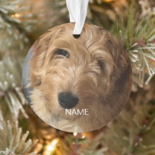 Custom photo image picture name Christmas Ornament
