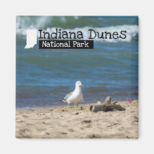 Custom Photo - Indiana Dunes National Park Magnet