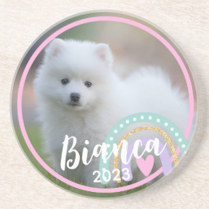 Custom Photo Name Year Rainbow Sandstone Coasters