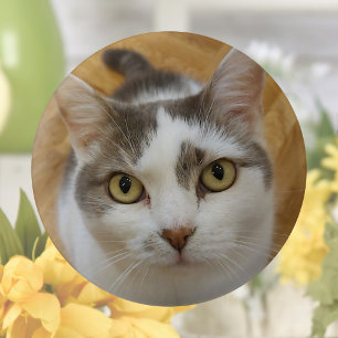 Custom Photo Or Other Image Pinback 1 Inch Round Button