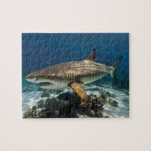 Custom Photo Personalized blue white shark fish    Jigsaw Puzzle