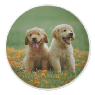 Custom Photo Personalized Ceramic Knob