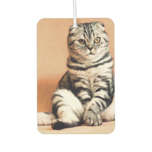 Custom Photo Personalized Pet Air Freshener