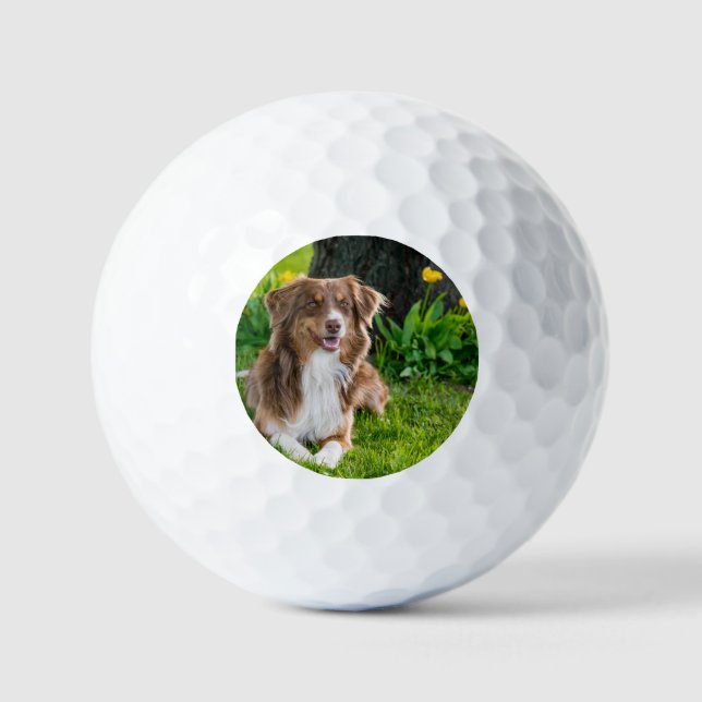 Custom Photo Personalized Pet Golf Balls (Front)