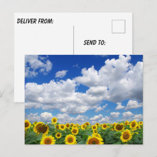 Custom Photo Personalized Postcard