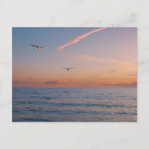 Custom Photo Personalized Sunset Beach Waves Holiday Postcard
