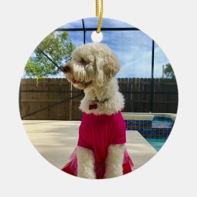 Custom Photo Pet Ceramic Ornament (Front)