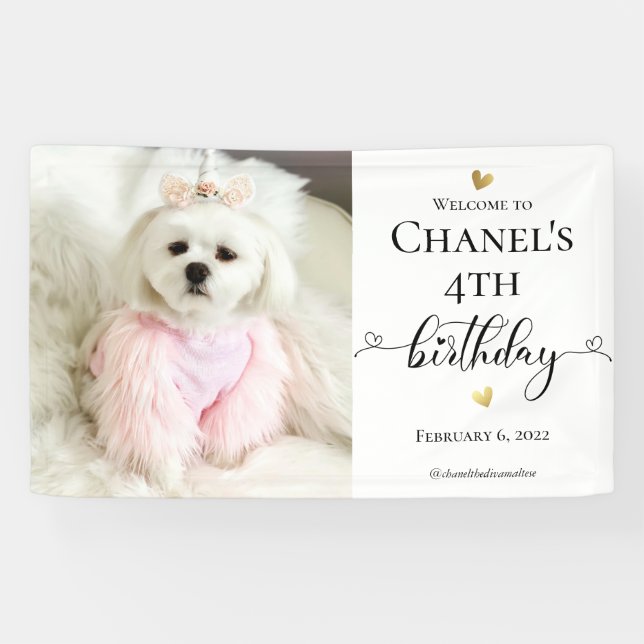 Custom Photo Pet Dog Birthday Typography Black Banner (Horizontal)