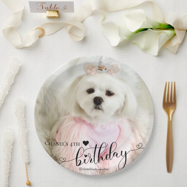 Custom Photo Pet Dog Birthday Typography Black Paper Plate (Wedding)