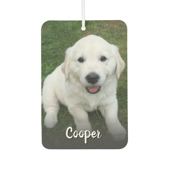 Custom Photo Pet Dog Photo Automobile  Air Freshener (Front)