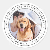 Custom Photo Pet Dog Wedding Save The Date Classic Round Sticker (Front)