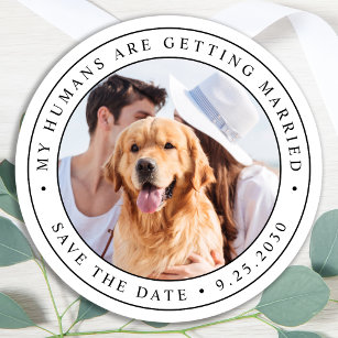 Custom Photo Pet Dog Wedding Save The Date Classic Round Sticker