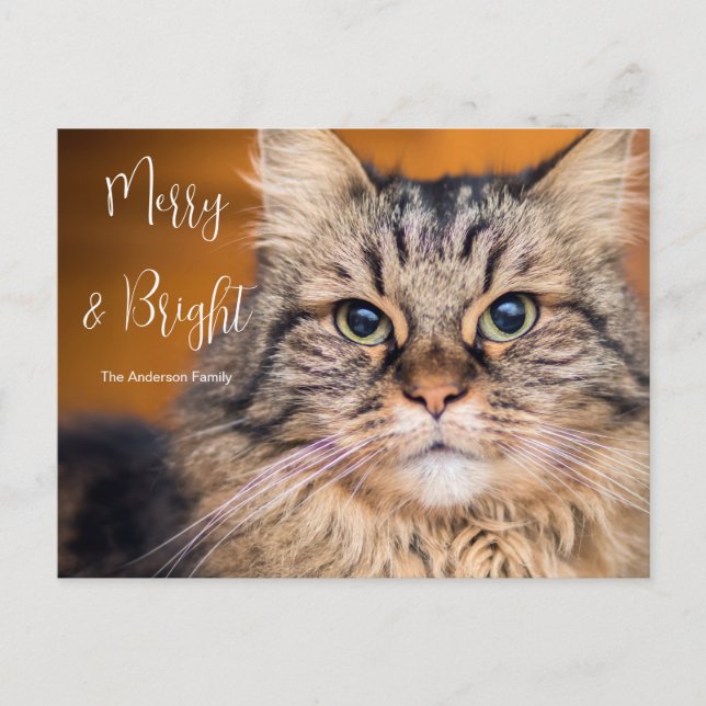 Custom Photo Pet Merry and Bright  Holiday Card (Front)