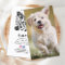 Custom Photo Pet Puppy Dog Social Media QR Code