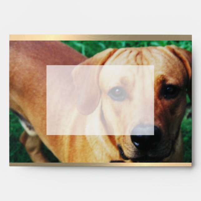 Custom Photo Printed On Envelope (Front)