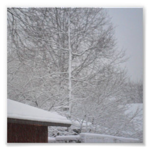 CUSTOM PHOTO PRINTS  6 X6