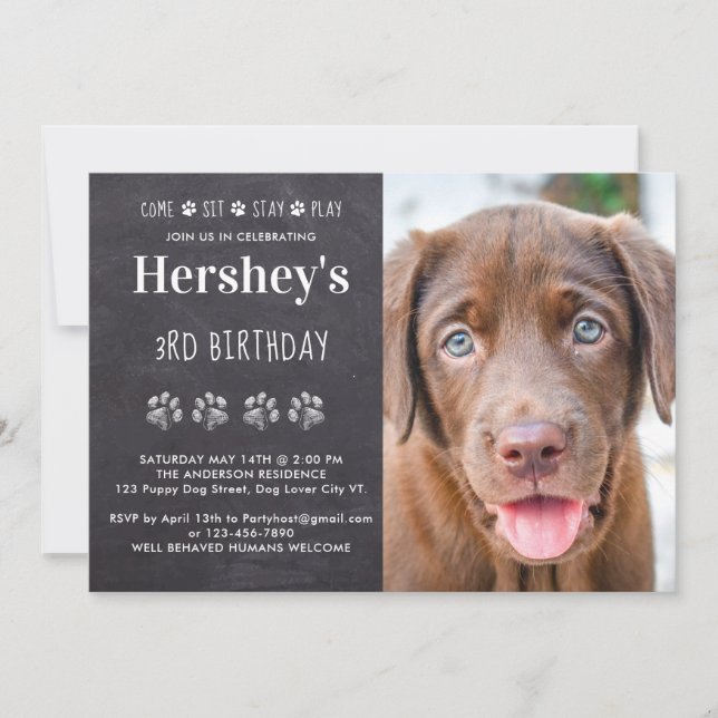 Custom Photo Puppy Dog Birthday Party  Invitation (Front)