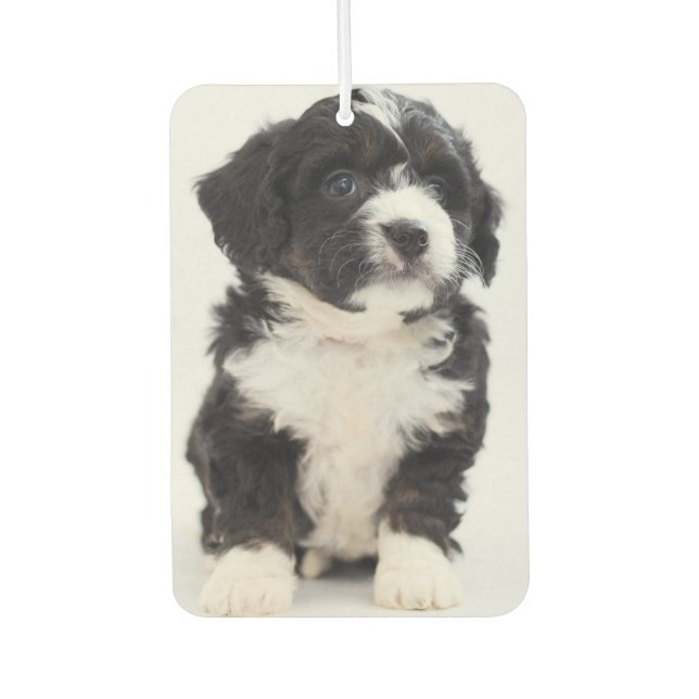 Custom Photo Puppy Dog Pet Personalized Air Freshener (Front)