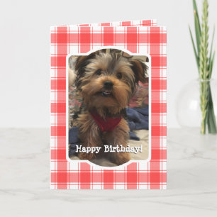 Custom Photo Red & White Country Farmhouse Plaid Card