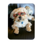 Custom Photo Refrigerator Magnet