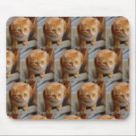 Custom Photo Template Collage Pet Family Mouse Pad<br><div class="desc">This design was created though digital art. It may be personalized in the area provide or customizing by choosing the click to customize further option and a name, initials or words. You may also delete the text for an image only design. Contact me at colorflowcreations@gmail.com if you with to have...</div>