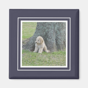 Custom Photo Template Dark Blue & White Magnet