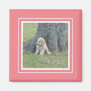 Custom Photo Template Soft Pink Coral& White Magnet