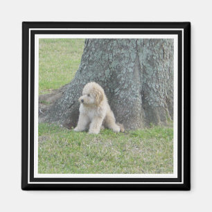 Custom Photo Template True Black & White Magnet