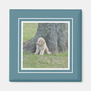 Custom Photo Template Turquoise & White Magnet
