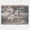 Custom Photo Throw Blanket