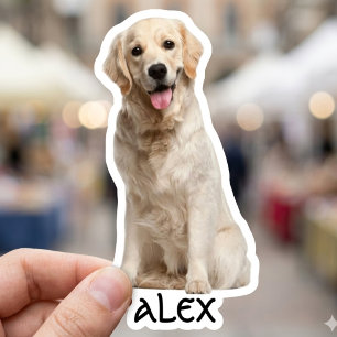 Custom Photo Waterproof Vinyl Stickers