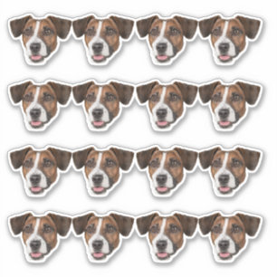 Custom Photo Waterproof Vinyl Stickers