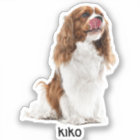 Custom Photo Waterproof Vinyl Stickers