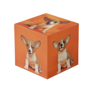 Custom Photo With Your Pet Dog 5 Picture On Cube