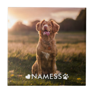 Custom Photo With Your Pet Dog Name Picture On Tile