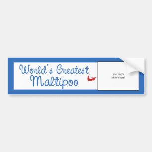 Custom Photo! Worlds Greatest Maltipoo Bumper Sticker