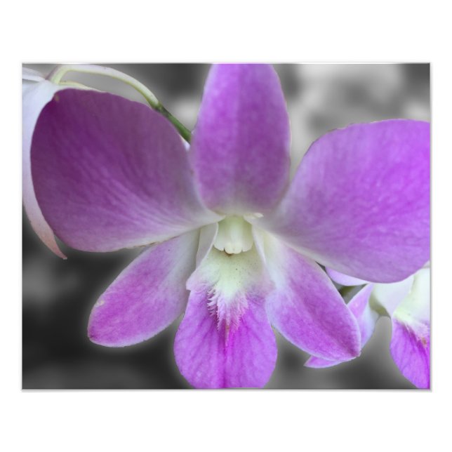 Custom Picture Print Photo Resize (Front)