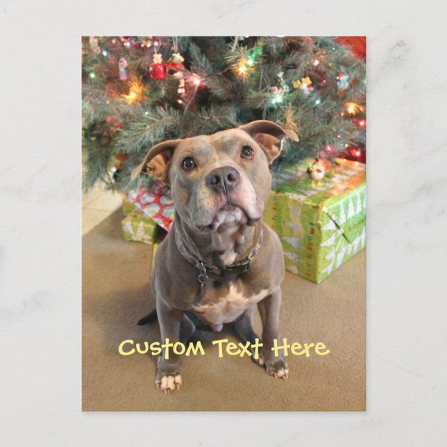 Custom Pitbull Christmas Postcard (Front)