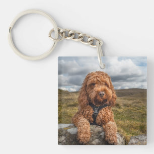 Custom Playful Dog Photo Keychain