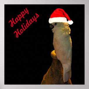 Custom Posing santa holiday Cockatoo bird Poster