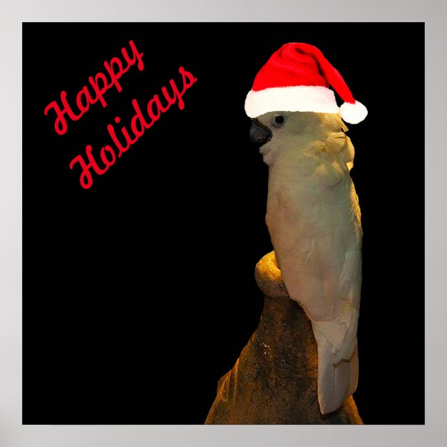 Custom Posing santa holiday Cockatoo bird Poster (Front)