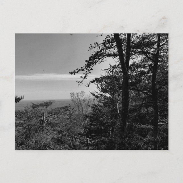 Custom Postcard with Black and White Photograph (Front)